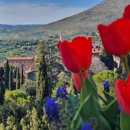 Vicolo D'Este Tivoli Esterno foto