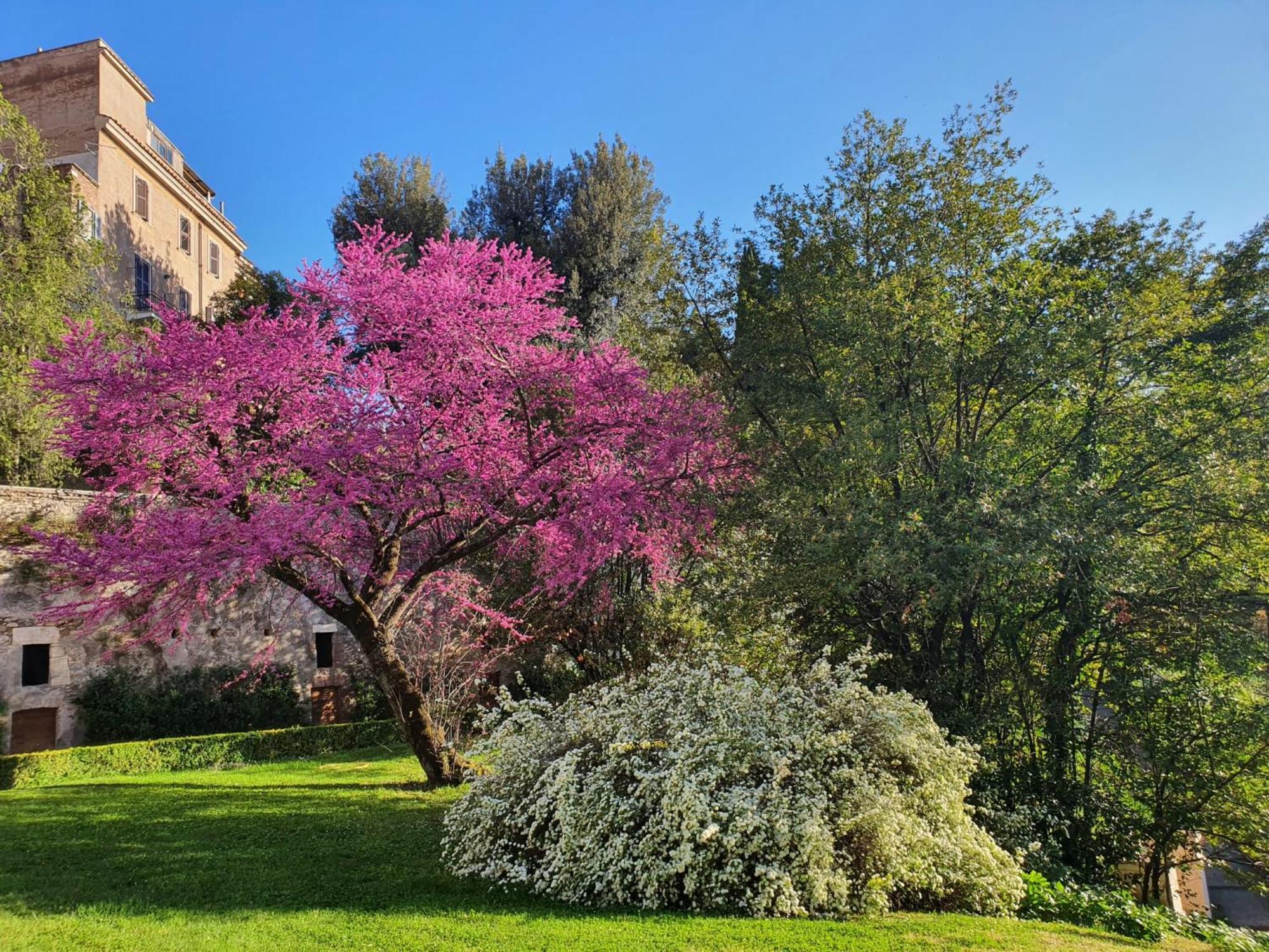 Vicolo D'Este Tivoli Esterno foto